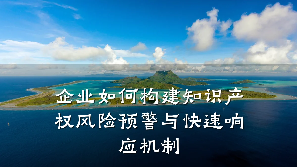 企业如何构建知识产权风险预警与快速响应机制