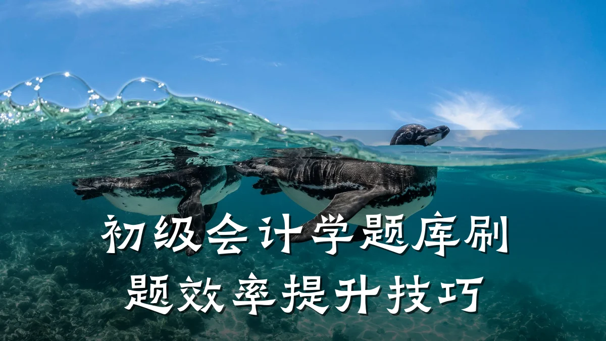 初级会计学题库刷题效率提升技巧