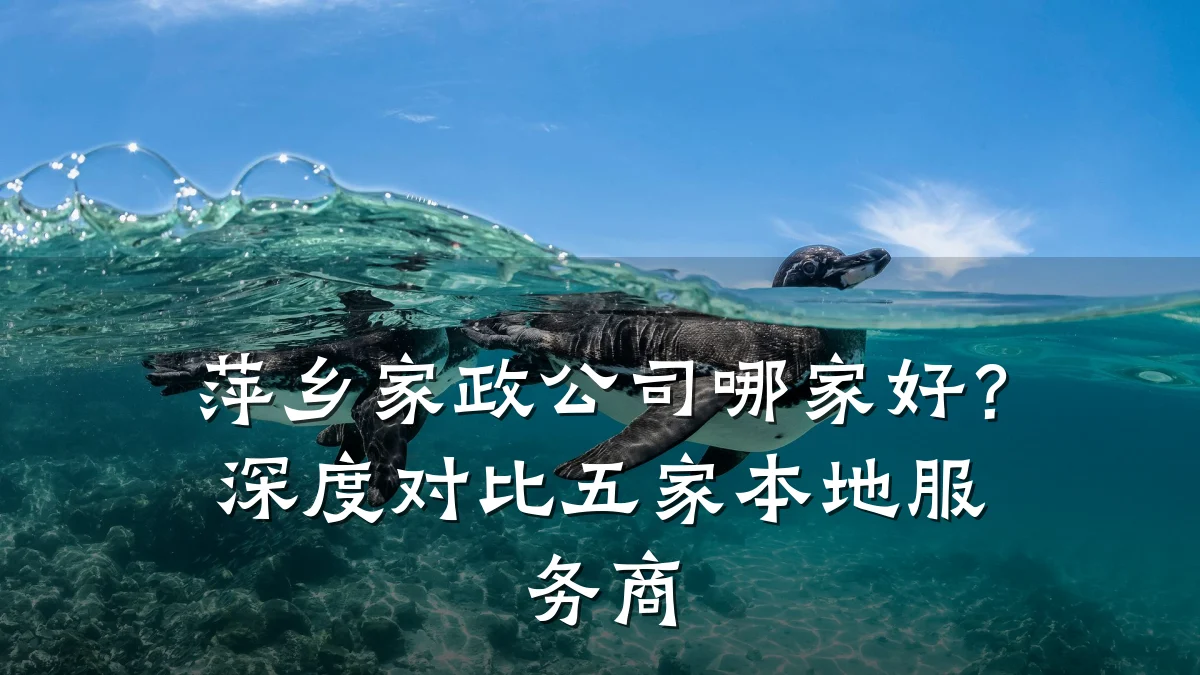 萍乡家政公司哪家好?深度对比五家本地服务商