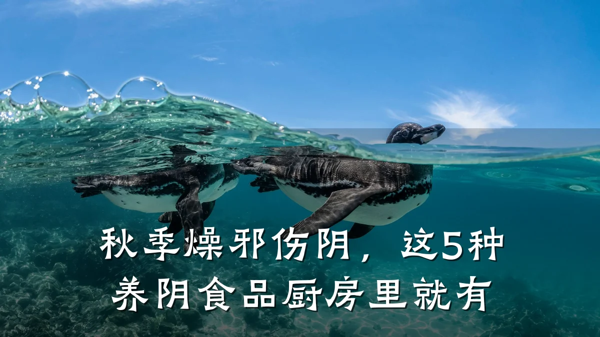 秋季燥邪伤阴，这5种养阴食品厨房里就有