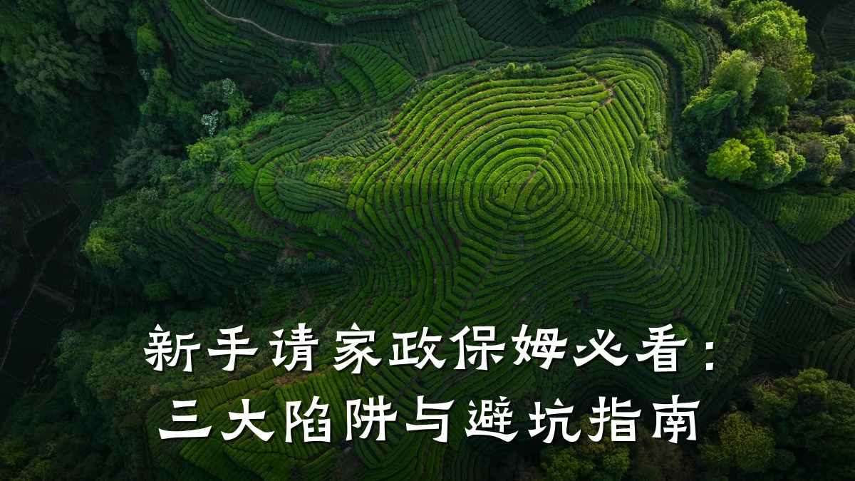 新手请家政保姆必看：三大陷阱与避坑指南