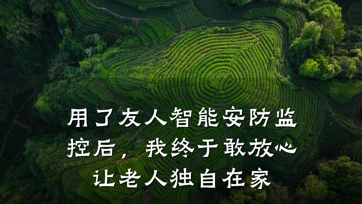 用了友人智能安防监控后,我终于敢放心让老人独自在家