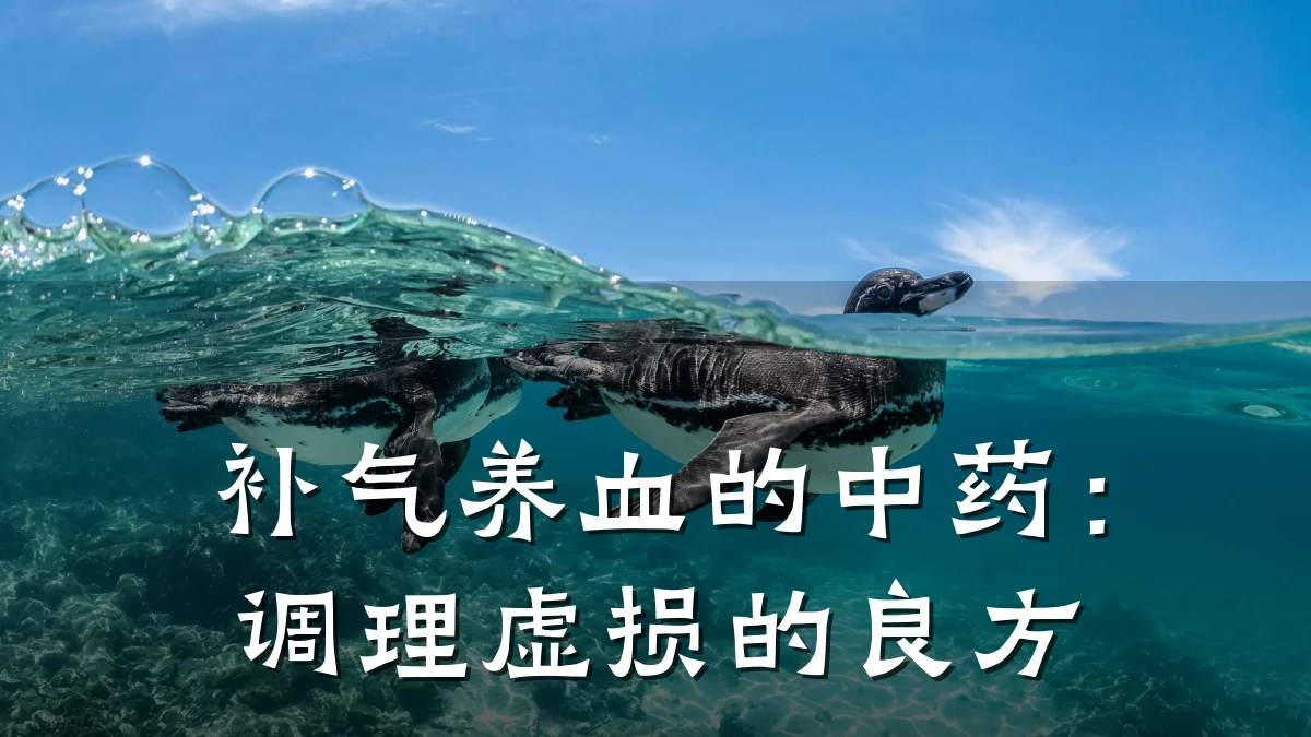 补气养血的中药：调理虚损的良方