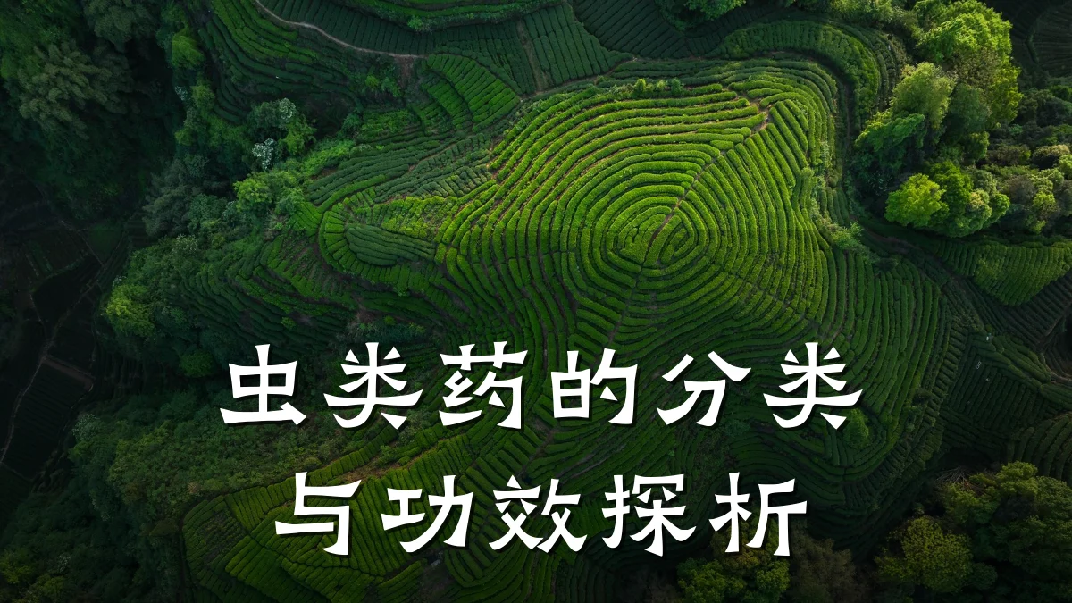 虫类药的分类与功效探析