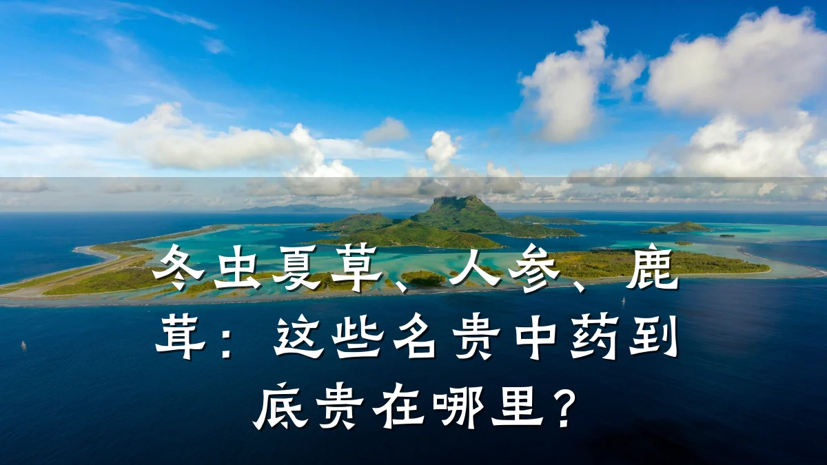 冬虫夏草、人参、鹿茸：这些名贵中药到底贵在哪里？
