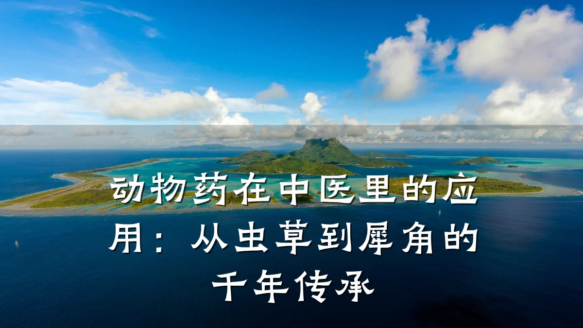 动物药在中医里的应用：从虫草到犀角的千年传承
