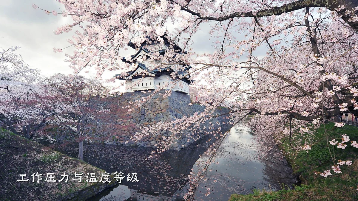 工作压力与温度等级