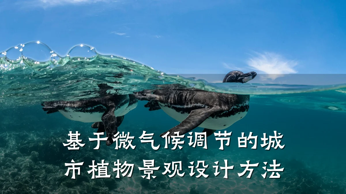 基于微气候调节的城市植物景观设计方法