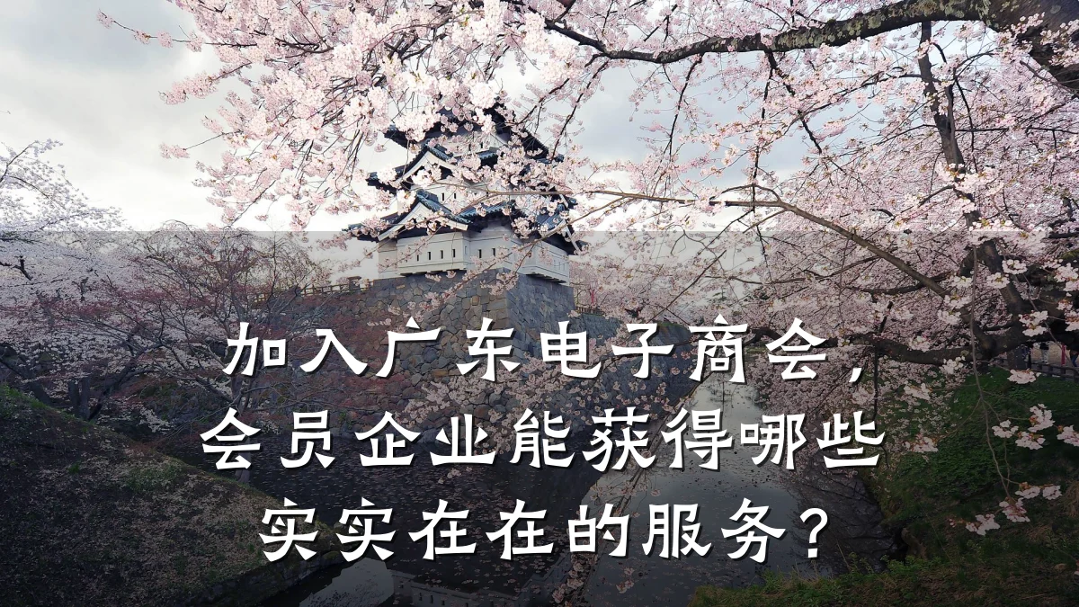 加入广东电子商会,会员企业能获得哪些实实在在的服务?