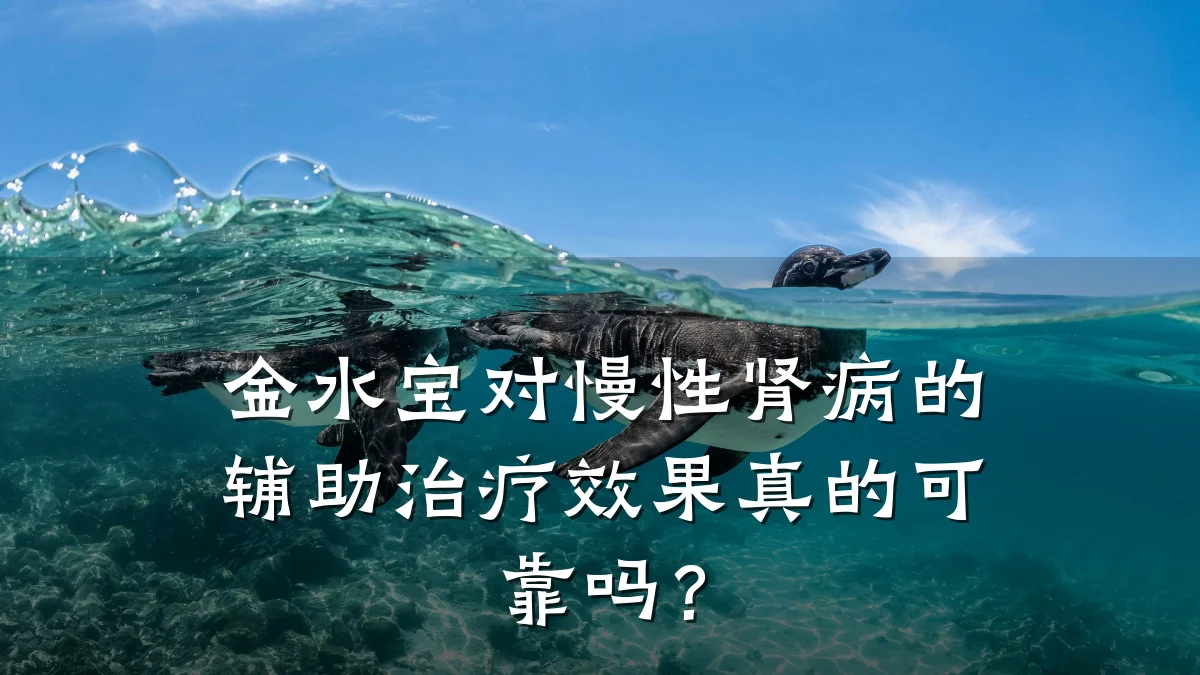 金水宝对慢性肾病的辅助治疗效果真的可靠吗？