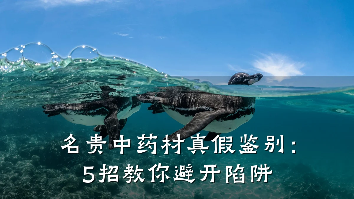 名贵中药材真假鉴别：5招教你避开陷阱