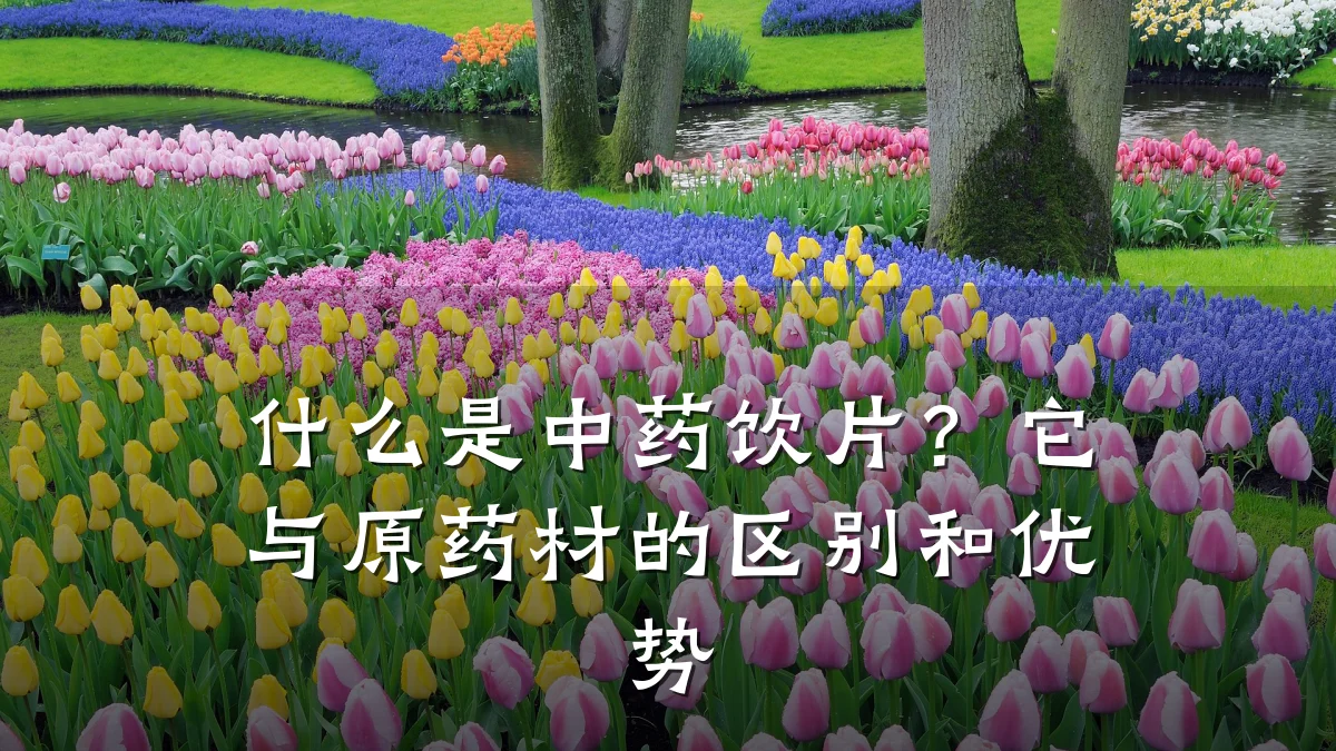 什么是中药饮片？它与原药材的区别和优势