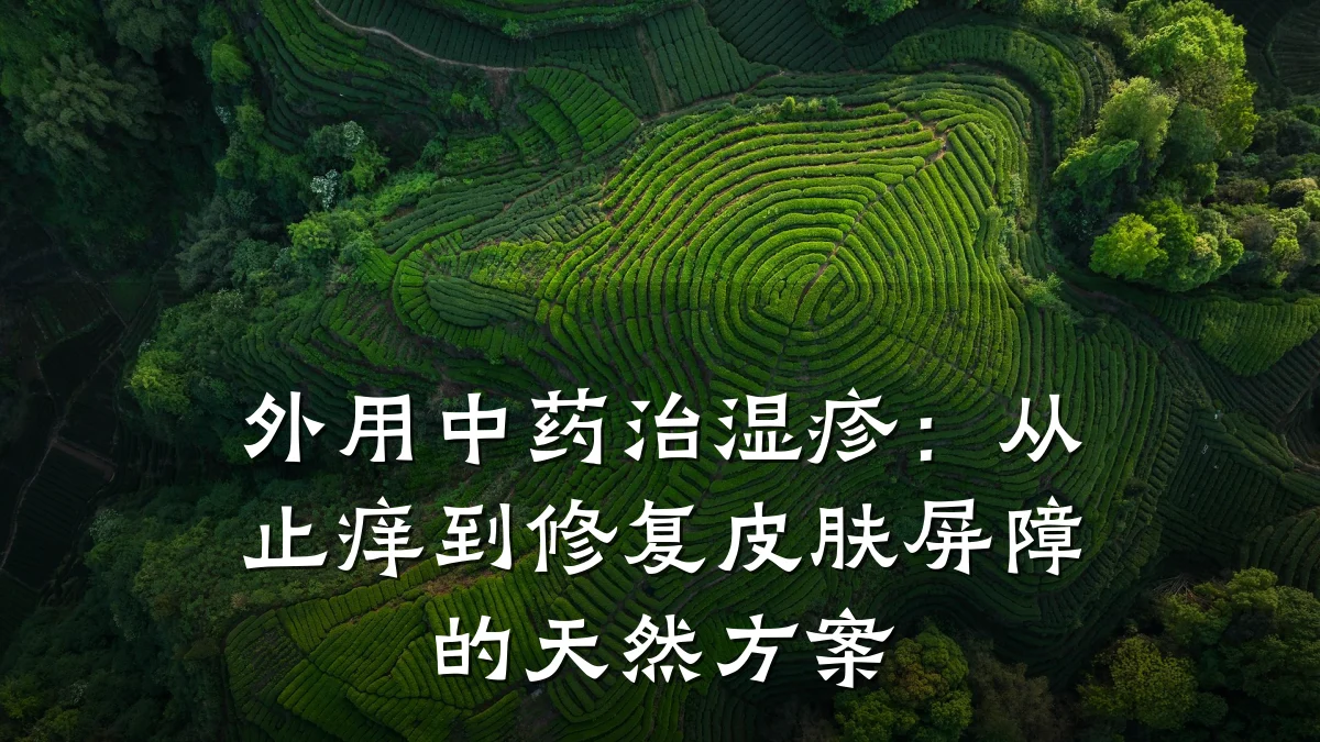 外用中药治湿疹：从止痒到修复皮肤屏障的天然方案