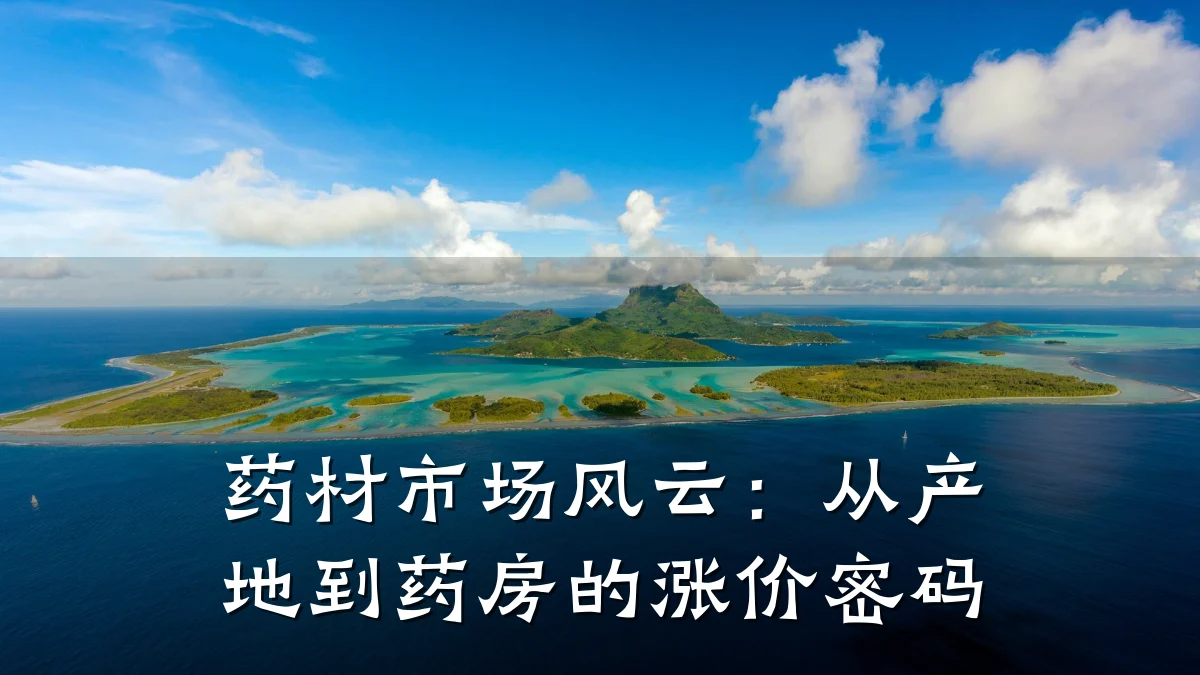 药材市场风云：从产地到药房的涨价密码