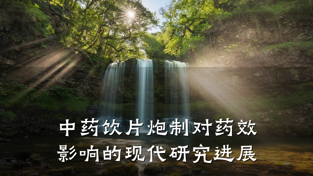 中药饮片炮制对药效影响的现代研究进展
