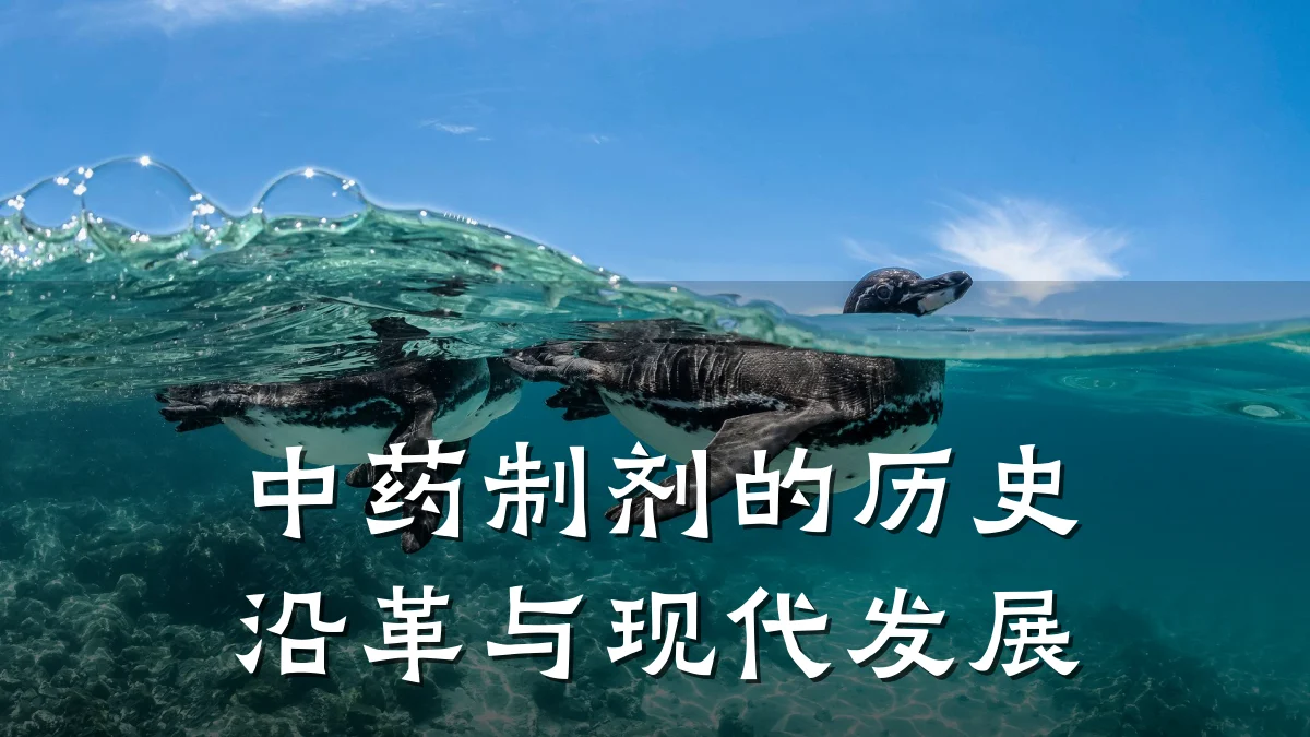 中药制剂的历史沿革与现代发展