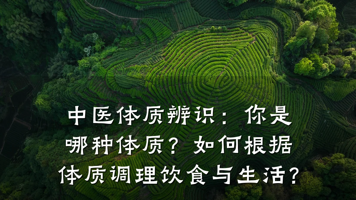 中医体质辨识：你是哪种体质？如何根据体质调理饮食与生活？
