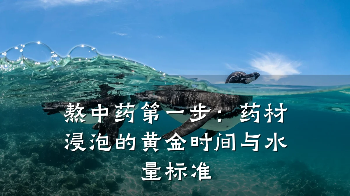 熬中药第一步:药材浸泡的黄金时间与水量标准