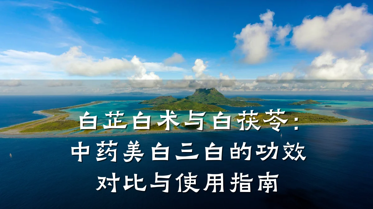 白芷白术与白茯苓：中药美白三白的功效对比与使用指南