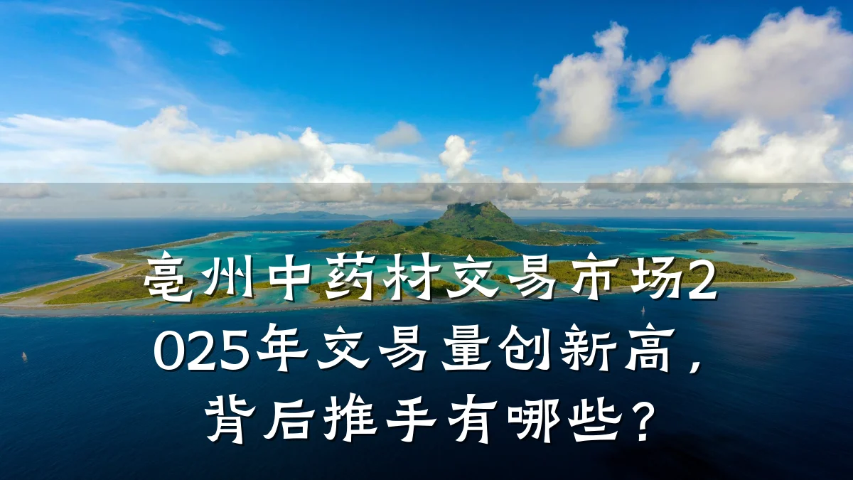 亳州中药材交易市场2025年交易量创新高,背后推手有哪些?