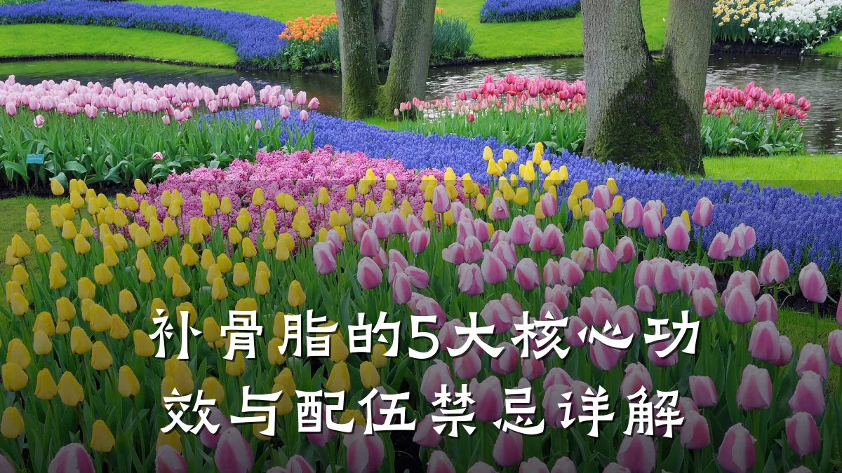 补骨脂的5大核心功效与配伍禁忌详解