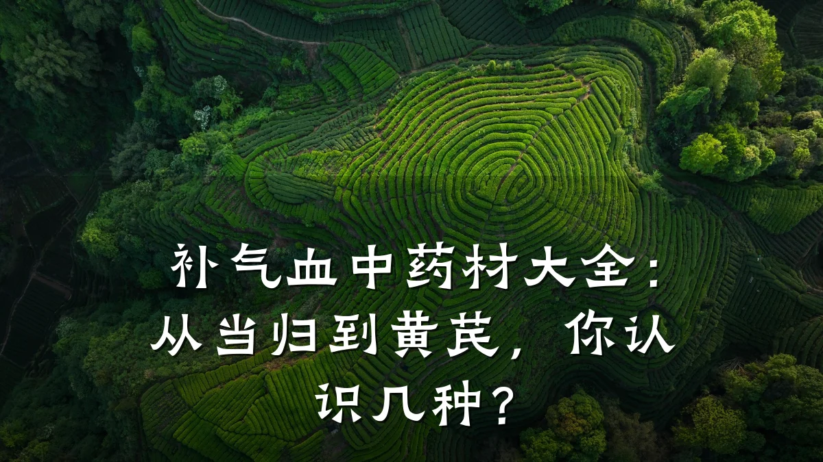 补气血中药材大全:从当归到黄芪,你认识几种?