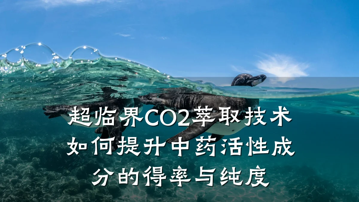超临界CO2萃取技术如何提升中药活性成分的得率与纯度