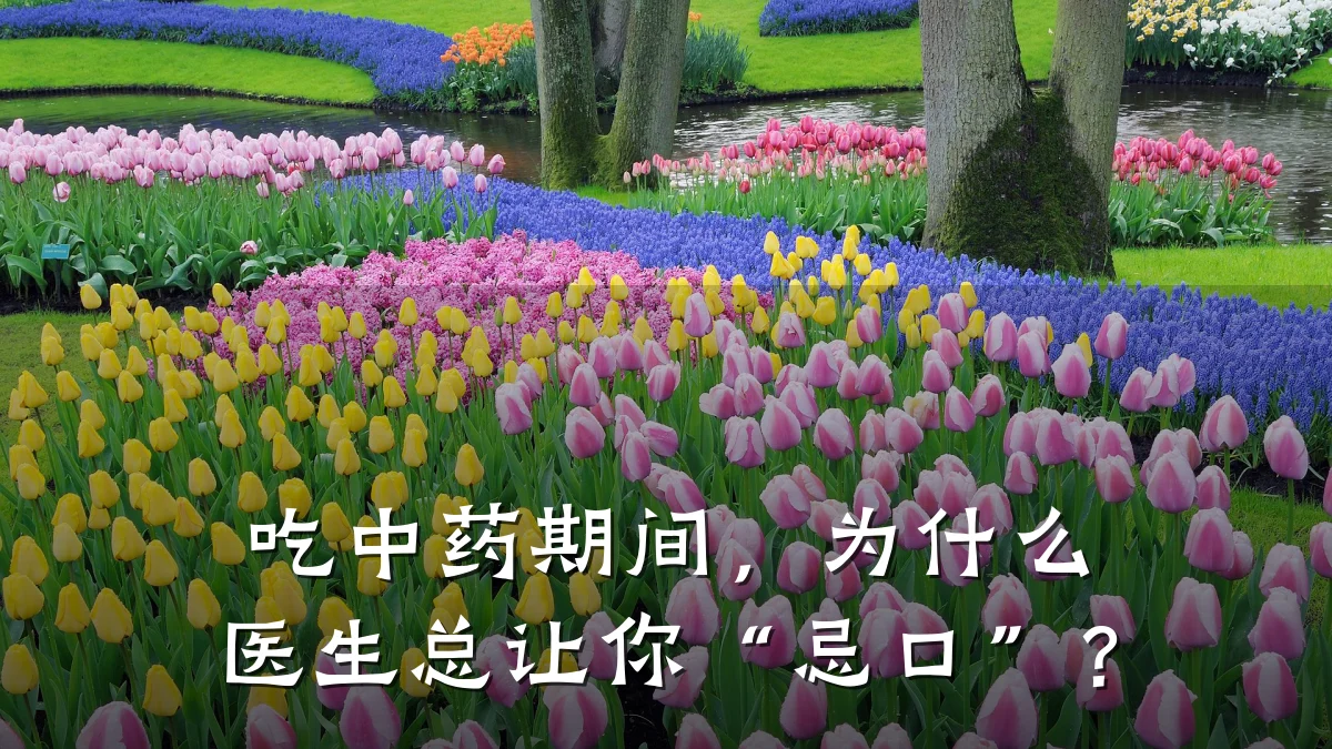 吃中药期间,为什么医生总让你“忌口”?