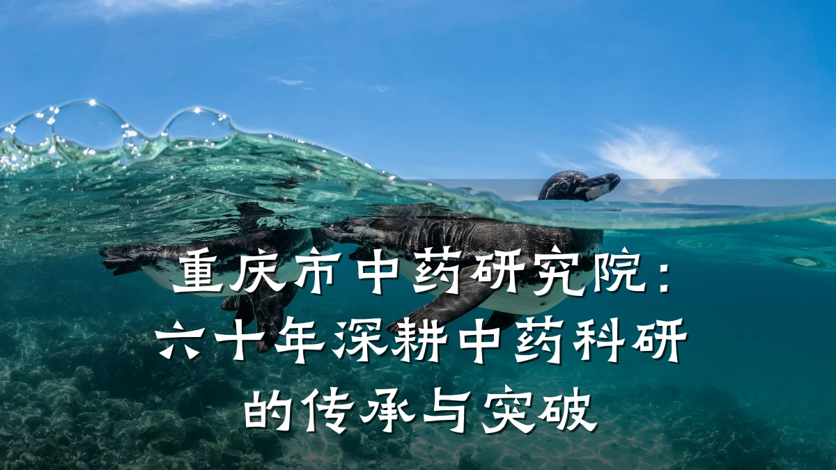 重庆市中药研究院:六十年深耕中药科研的传承与突破