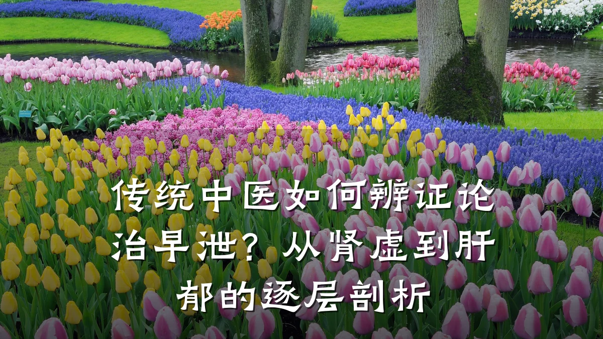 传统中医如何辨证论治早泄？从肾虚到肝郁的逐层剖析