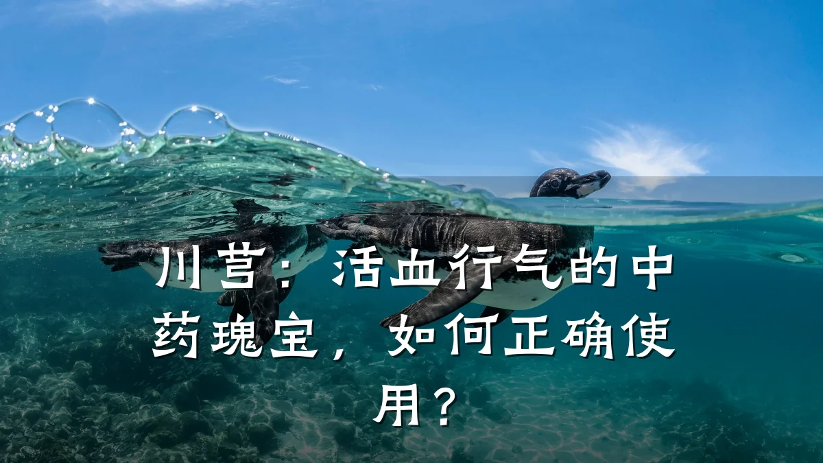 川芎:活血行气的中药瑰宝,如何正确使用?