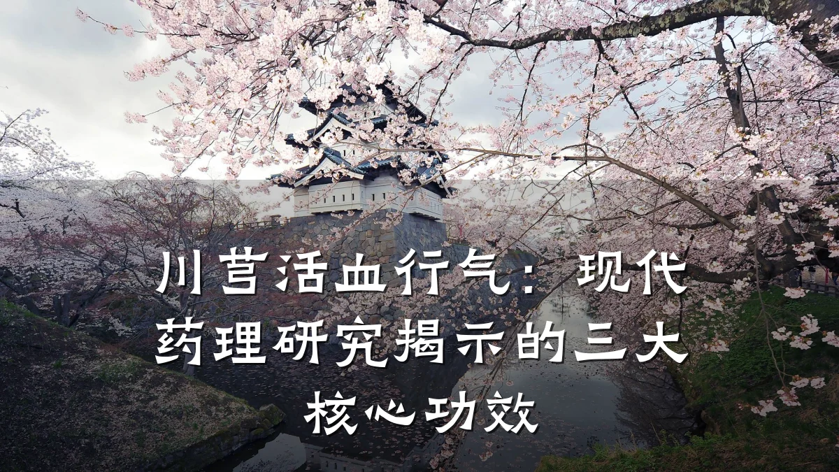 川芎活血行气:现代药理研究揭示的三大核心功效