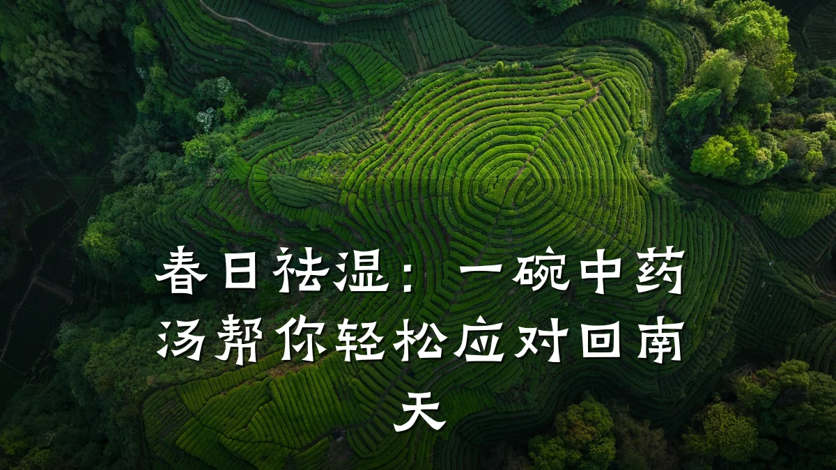 春日祛湿：一碗中药汤帮你轻松应对回南天