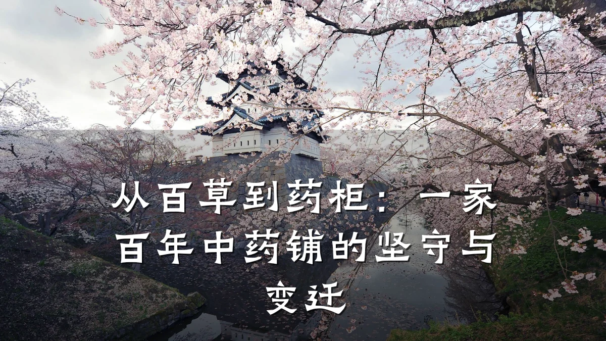 从百草到药柜:一家百年中药铺的坚守与变迁