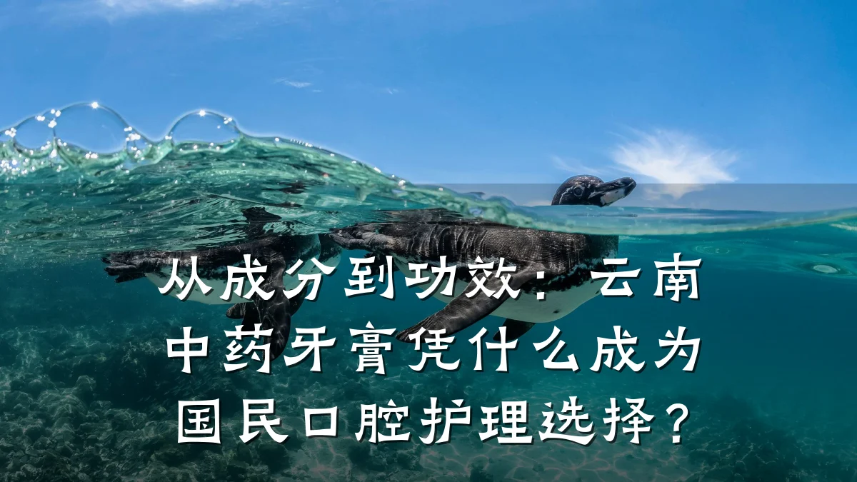 从成分到功效：云南中药牙膏凭什么成为国民口腔护理选择？