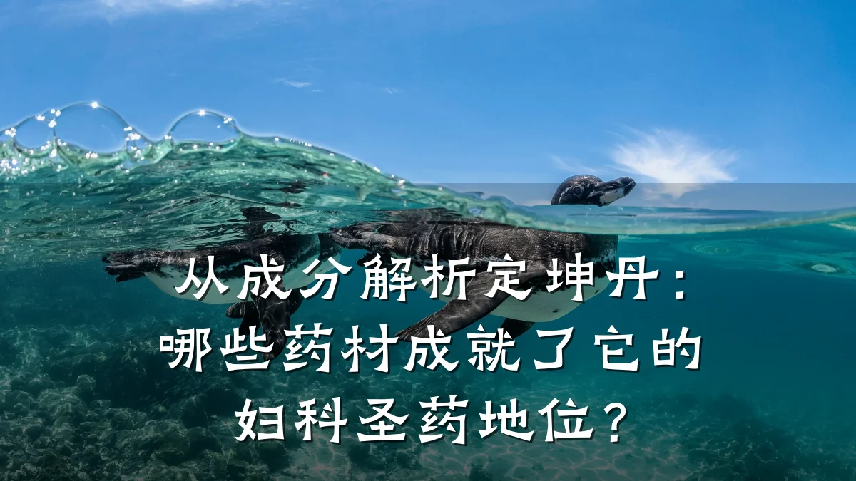 从成分解析定坤丹：哪些药材成就了它的妇科圣药地位？