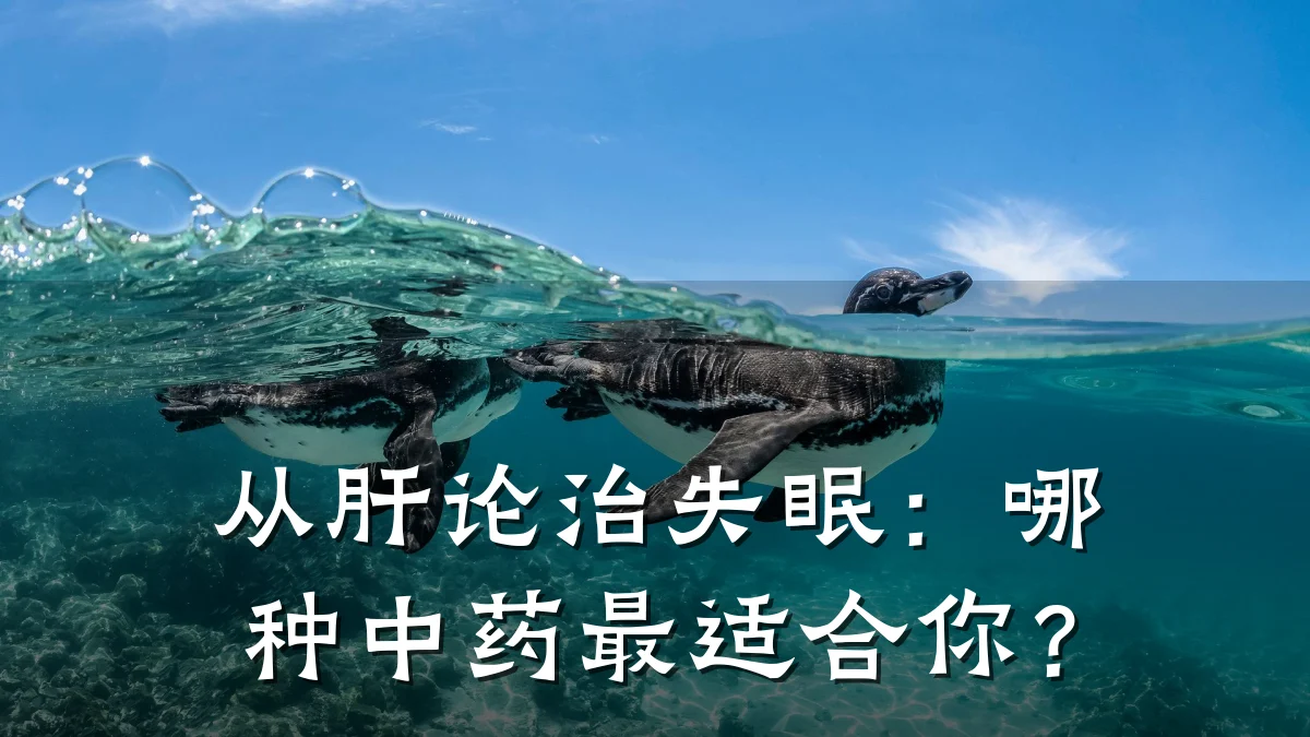 从肝论治失眠：哪种中药最适合你？