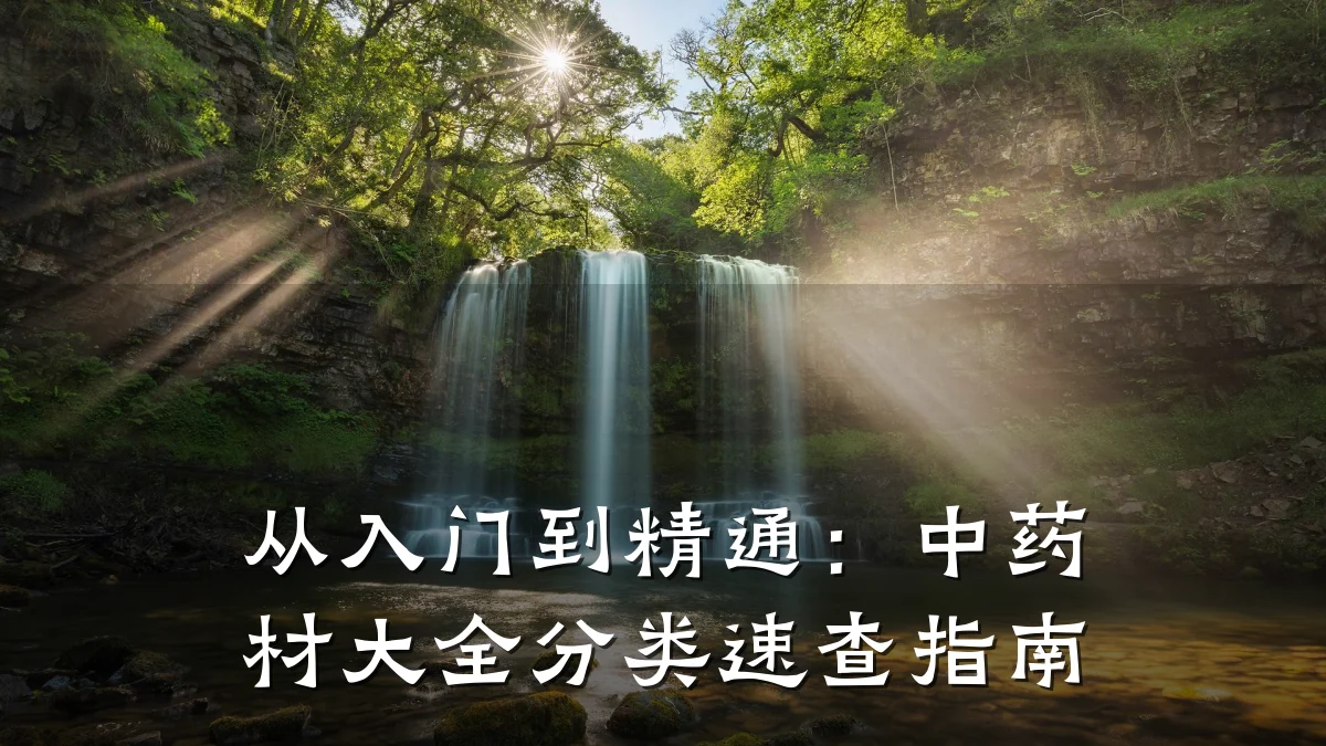 从入门到精通:中药材大全分类速查指南