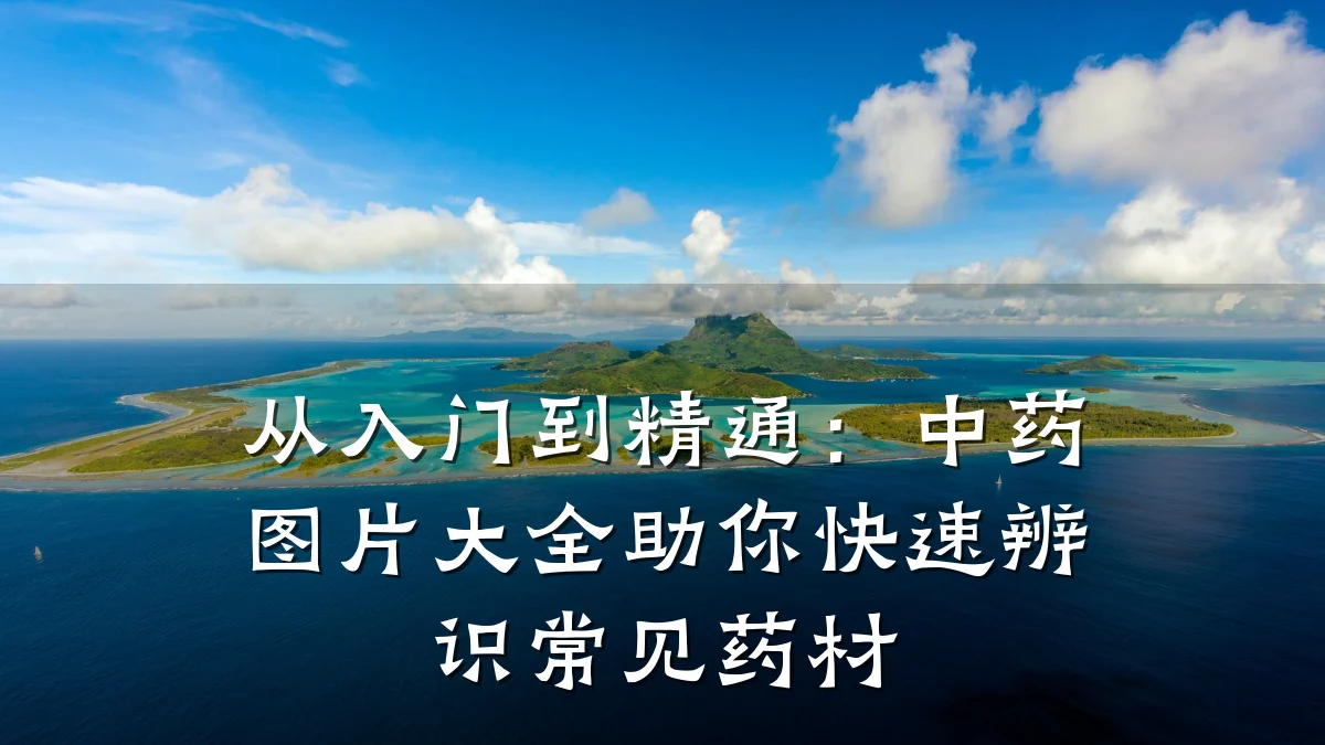 从入门到精通:中药图片大全助你快速辨识常见药材
