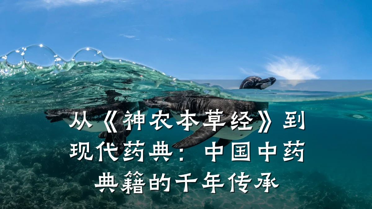 从《神农本草经》到现代药典：中国中药典籍的千年传承
