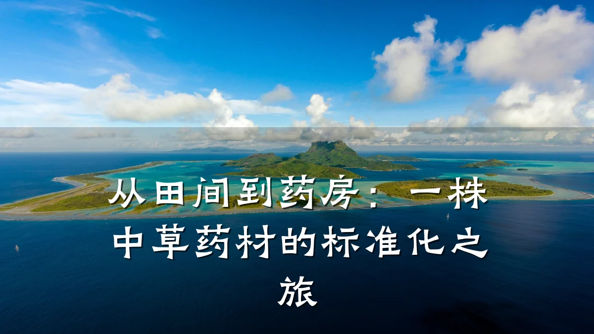 从田间到药房：一株中草药材的标准化之旅