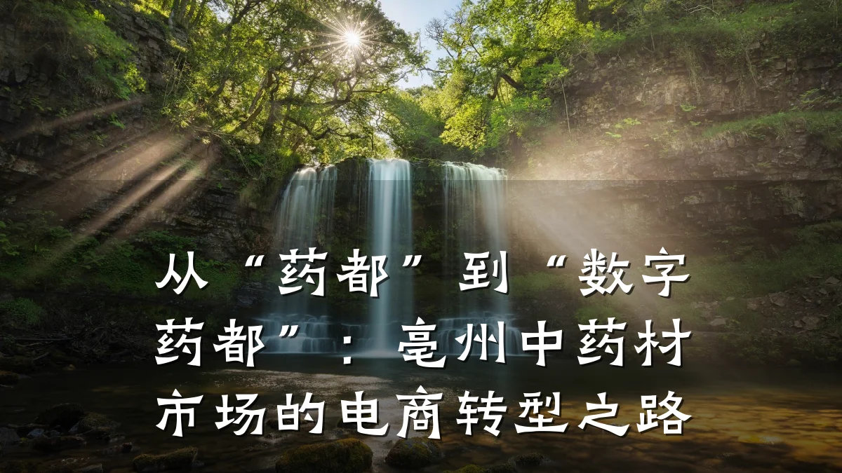 从“药都”到“数字药都”：亳州中药材市场的电商转型之路