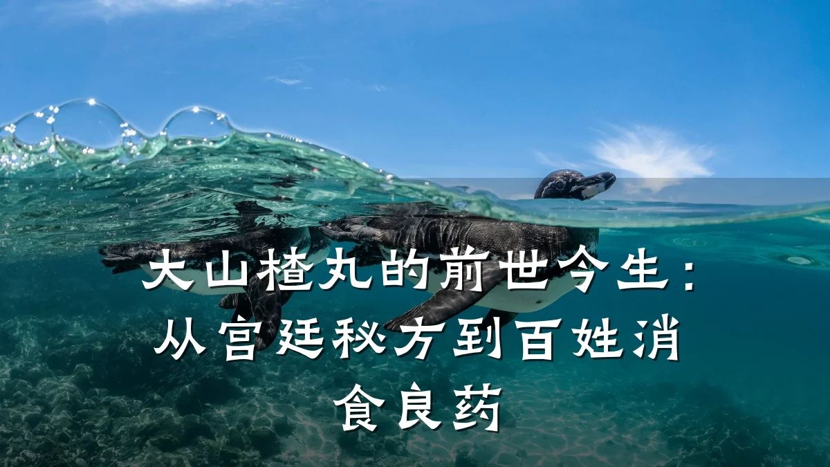 大山楂丸的前世今生：从宫廷秘方到百姓消食良药