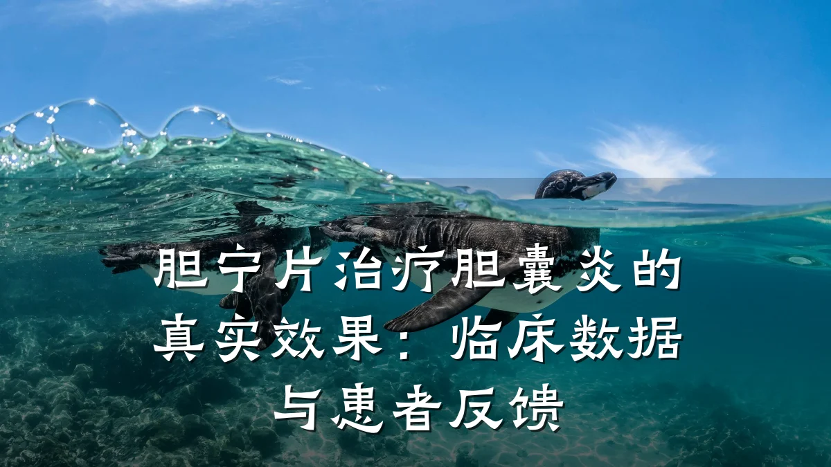 胆宁片治疗胆囊炎的真实效果:临床数据与患者反馈