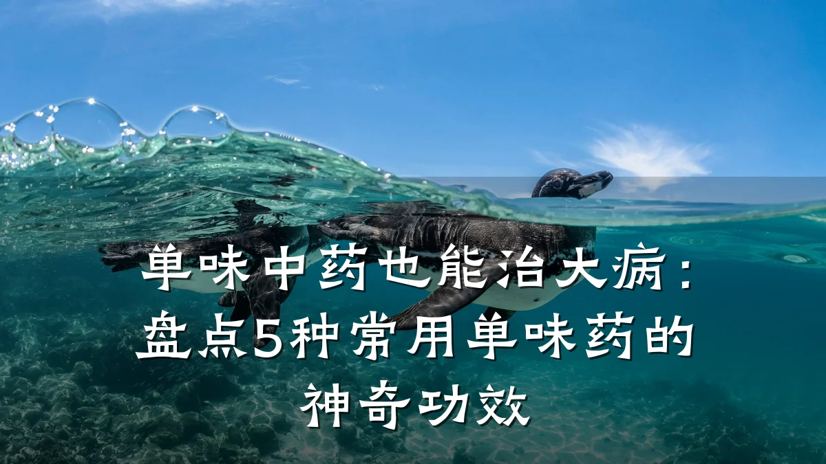 单味中药也能治大病：盘点5种常用单味药的神奇功效