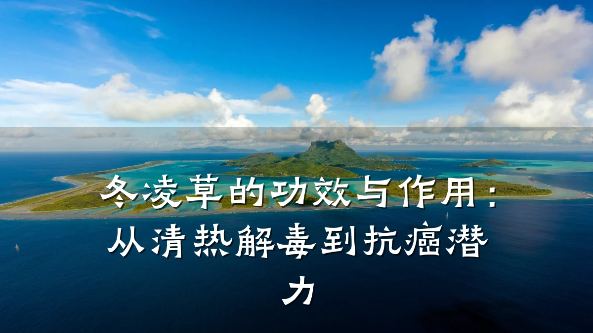 冬凌草的功效与作用：从清热解毒到抗癌潜力
