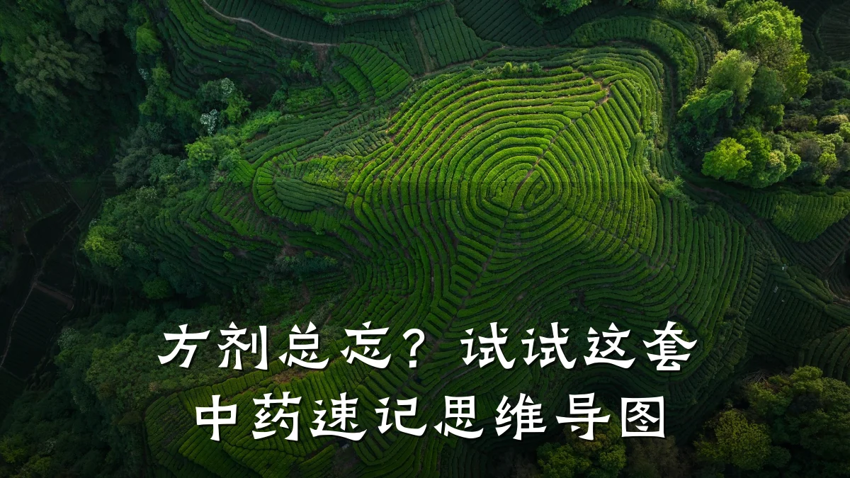 方剂总忘?试试这套中药速记思维导图