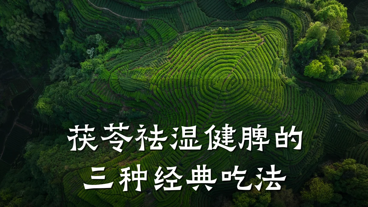 茯苓祛湿健脾的三种经典吃法
