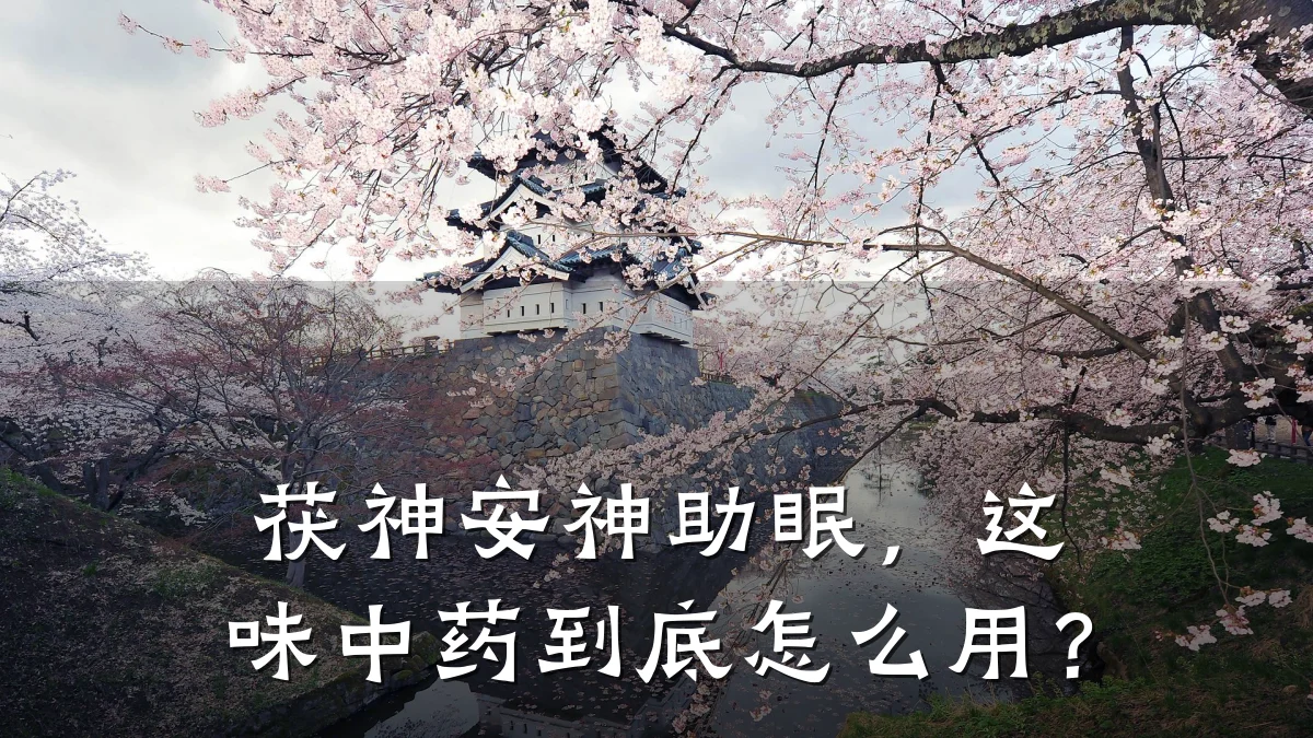 茯神安神助眠，这味中药到底怎么用？