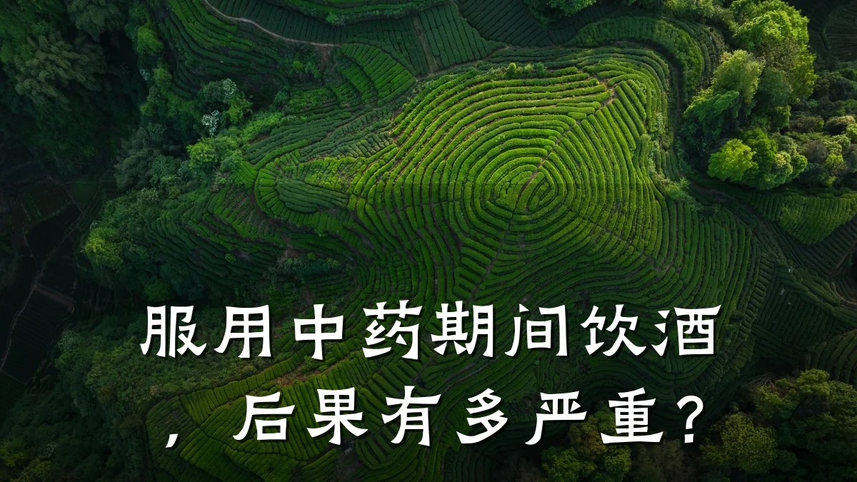 服用中药期间饮酒,后果有多严重?